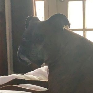 Meet your Posher, Leslie